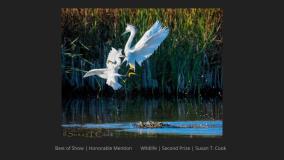 GAVIOTA COAST (13)
