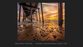 GAVIOTA COAST (16)