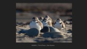 GAVIOTA COAST (17)
