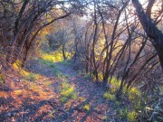 land_aanjelae_franklin-trail-phase-3807