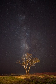 land_carppoint_carpinteria-state-beach578
