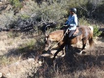 10-midland-ride-11-2-19