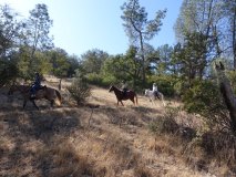 12-midland-ride-11-2-19