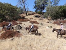 13-midland-ride-11-2-19