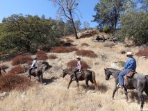 14-midland-ride-11-2-19