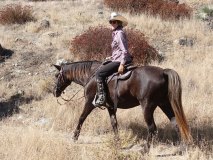 15-midland-ride-11-2-19