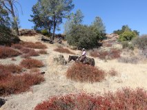 16-midland-ride-11-2-19