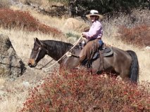 17-midland-ride-11-2-19