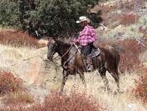 18-midland-ride-11-2-19