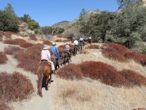 19-midland-ride-11-2-19