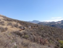 20-midland-ride-11-2-19