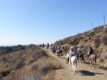 29-midland-ride-11-2-19