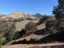 6-midland-ride-11-2-19