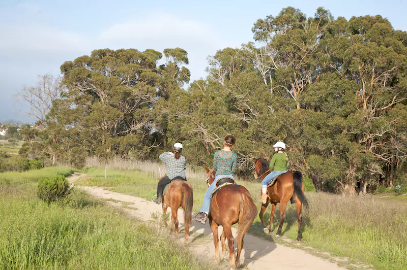 Equestrians on Ellwood Mesa