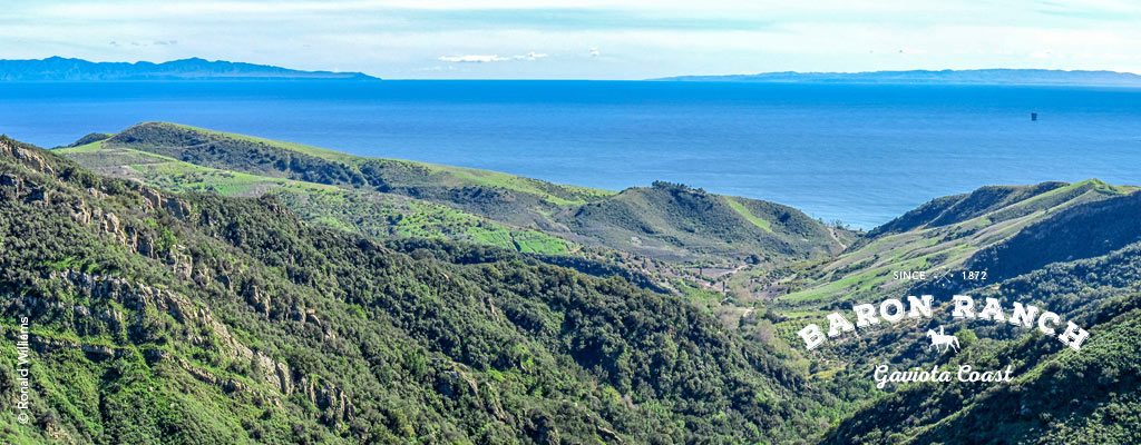 Baron Ranch Trails on Gaviota Coast