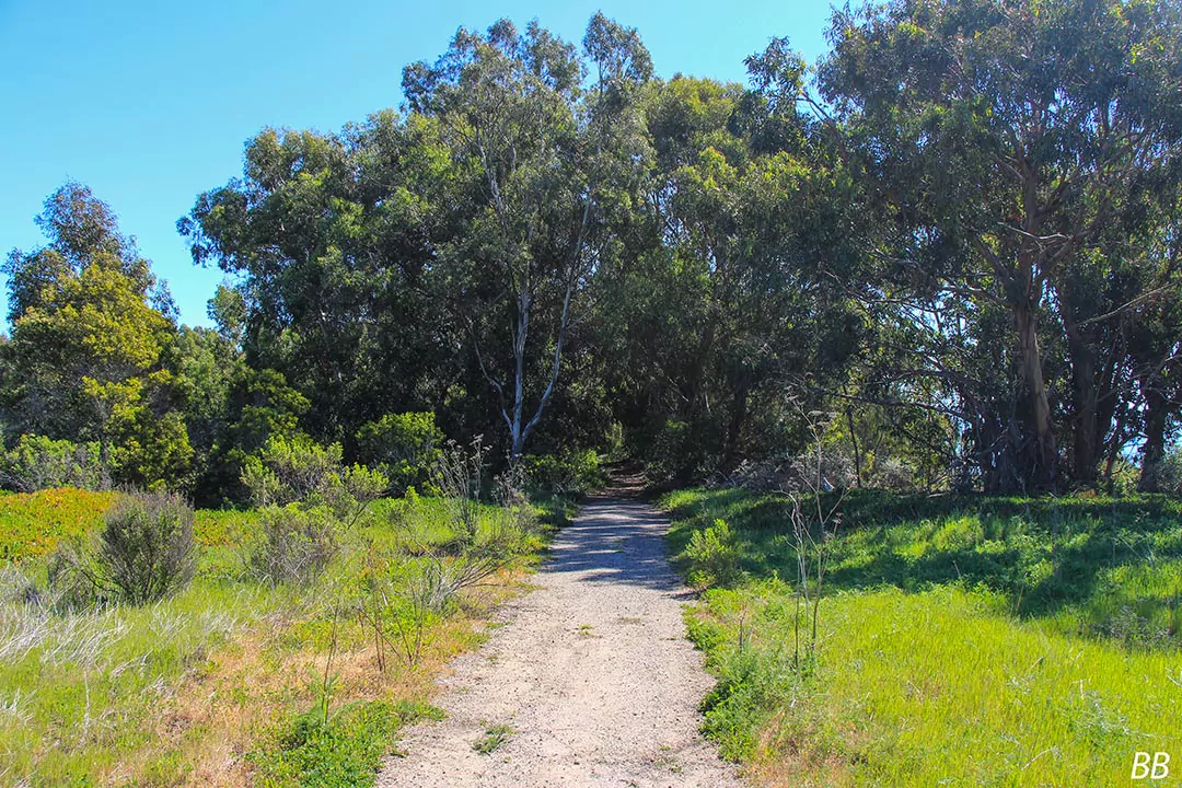 Paradiso trail along the coast