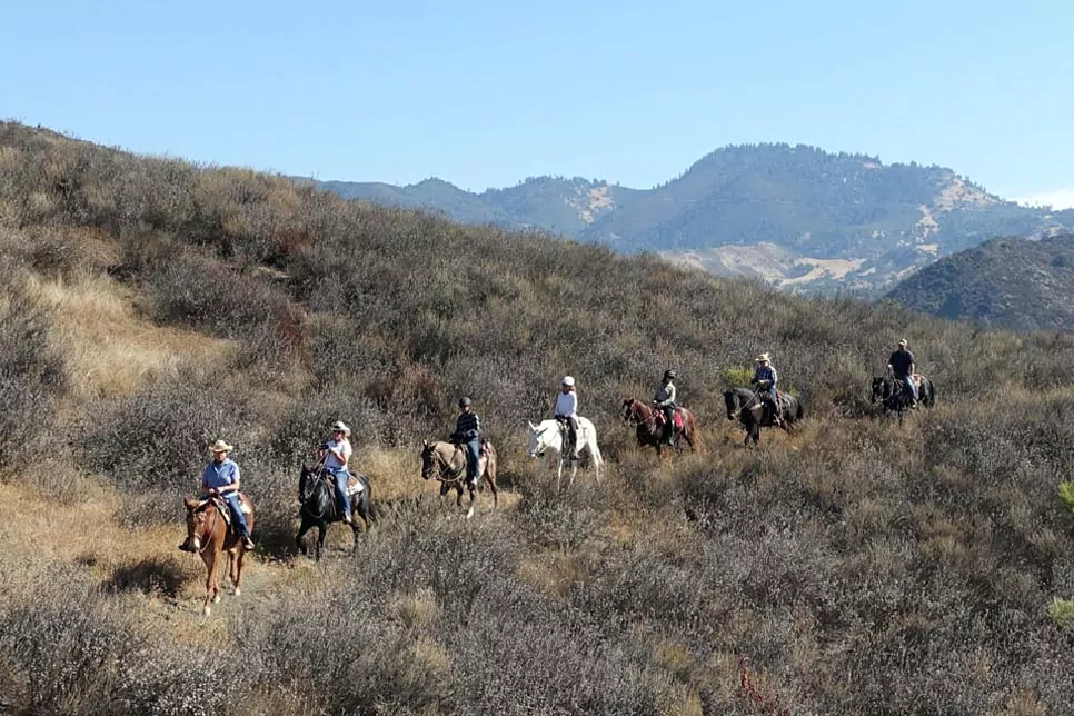 Midland equestrian ride