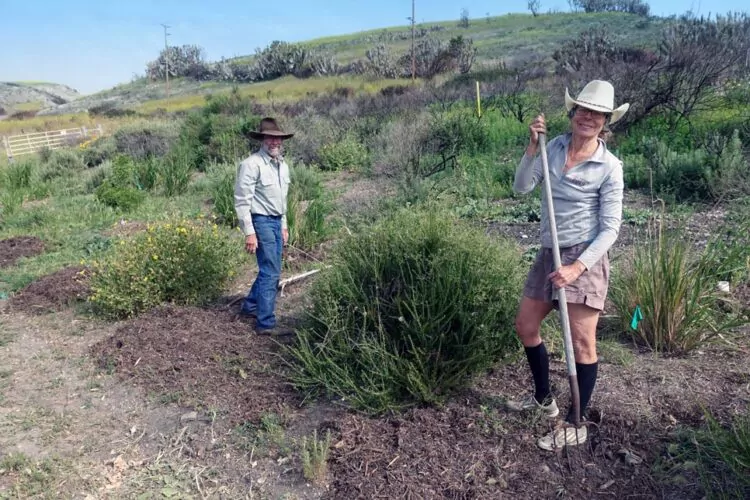 Restoring Native Habitat
