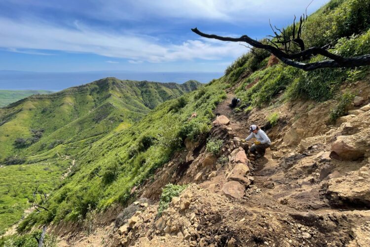 Trail Maintenance