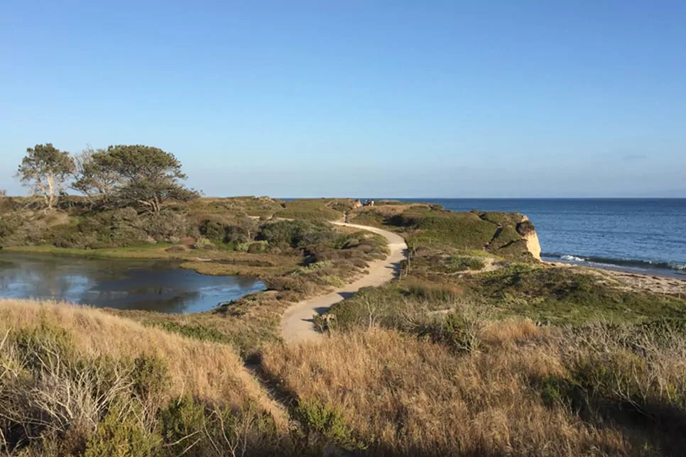 ocean side trail