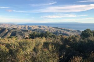 Baron Ranch Trails