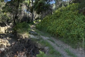 Arroyo Quemado Trail