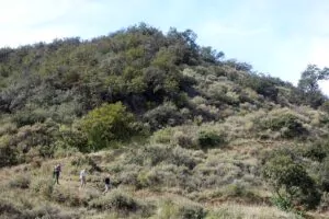 Hiking the Arroyo Quemado Trail