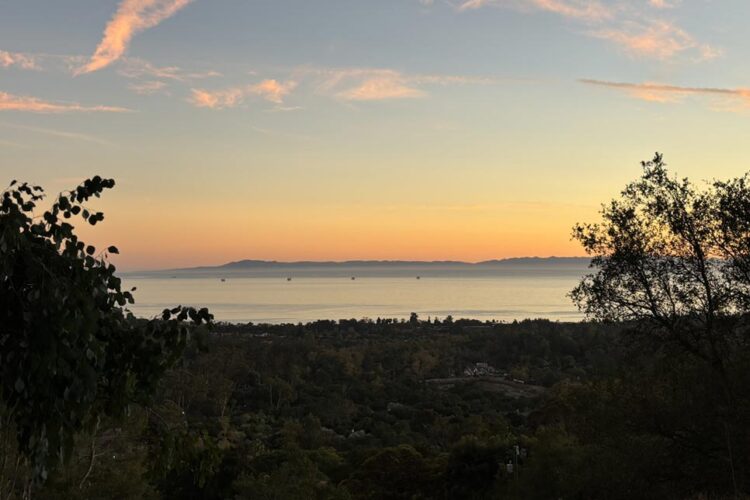 Island View Trail Run