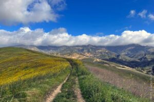 at El Capitan State Park