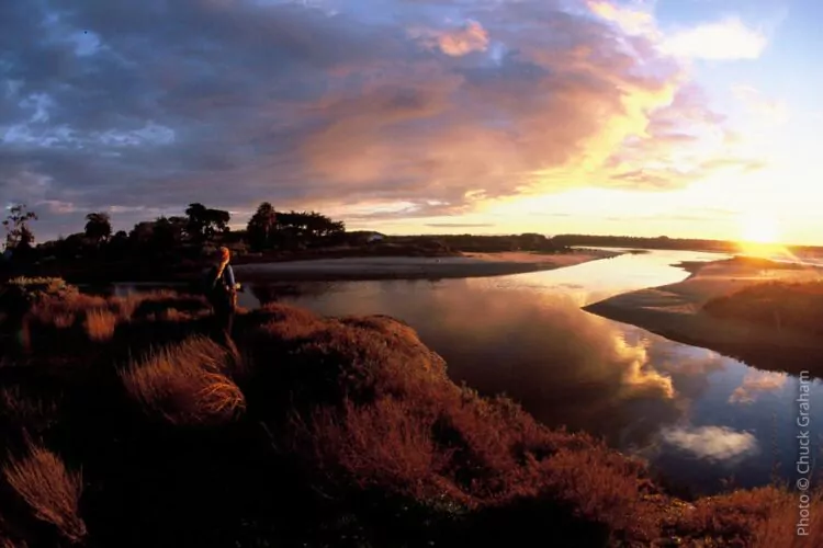 salt marsh nature preeserve