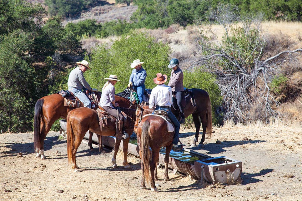 On the trail at Midland School Trails
