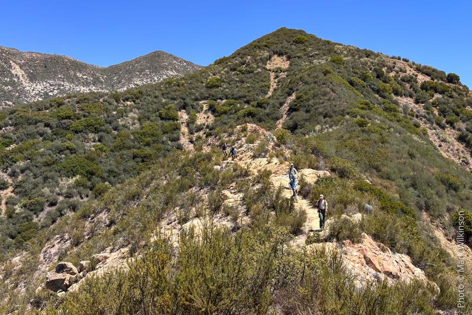 view of franklin trail