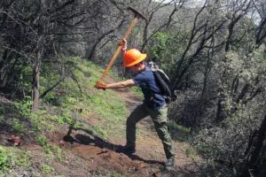 Working Hard