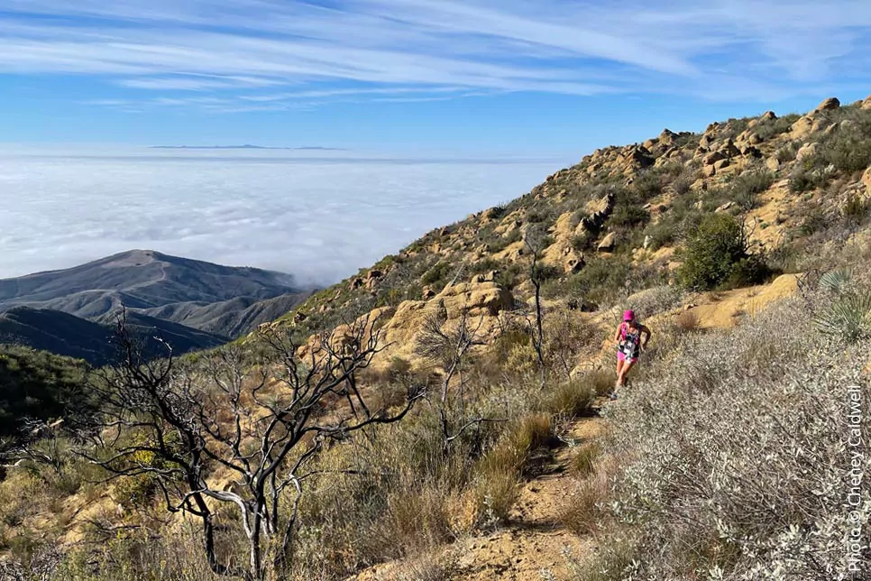 Franklin Trail at the crest