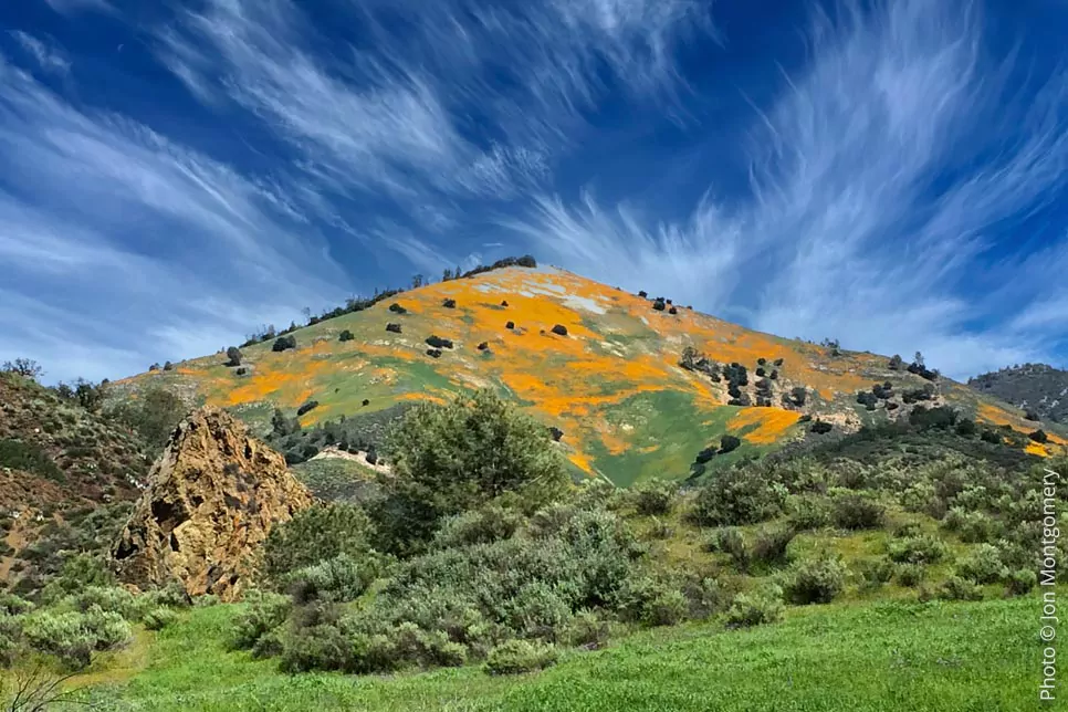 Grass Mountain with poppy bloom