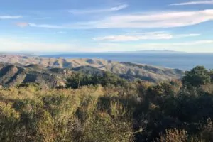 Baron Ranch Trails